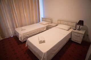 Отель Hotel Tsiskari Телави Двухместный номер с 2 отдельными кроватями-8